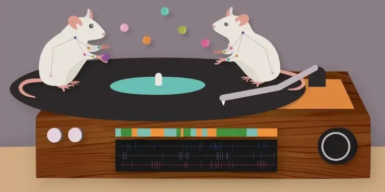 Штучний інтелект розпізнає та вчиться передбачати моделі поведінки на основі відео — ТЕХНОЛОГИИ