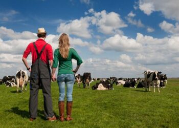 Стало відомо, як оформити спадок на фермерське господарство – ЭКОНОМИКА