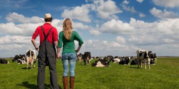 Стало відомо, як оформити спадок на фермерське господарство – ЭКОНОМИКА