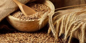 Стало відомо, як в Україні змінилися ціни на зернові – ЭКОНОМИКА