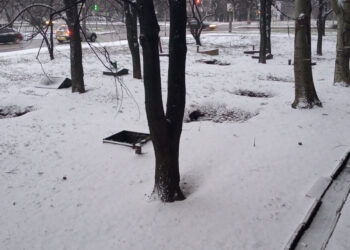 Яким буде початок тижня – прогноз погоди на 19, 20, 21 лютого | Новости Запорожья