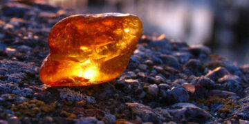 Крапку поставив Верховний суд: приватну компанію позбавили спецдозволу на бурштинове родовище у Житомирській області | Журнал Житомира