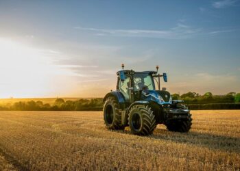 Миколаївська прокуратура продовжує повертати землю до держави