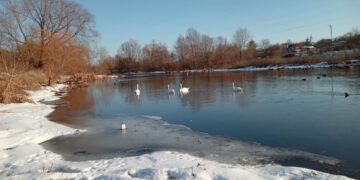 Мокрий сніг, некомфортний вітер та магнітні бурі – погода на Житомирщині завтра | Журнал Житомира