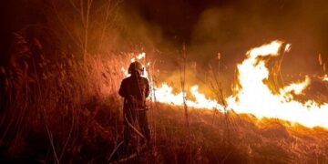 На Черкащині двічі горіла суха рослинність