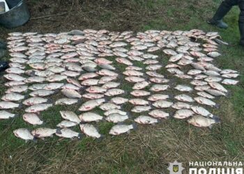На Миколаївщині браконьєр виловив понад 200 кг риби