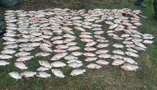 На Миколаївщині браконьєр виловив понад 200 кг риби
