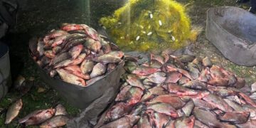 На Полтавщині судитимуть браконьєрів, які ловили рибу