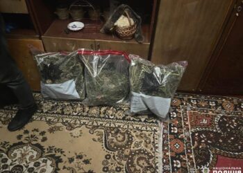 На Рівненщині у чоловіка вдома виявили канабіс та коноплю