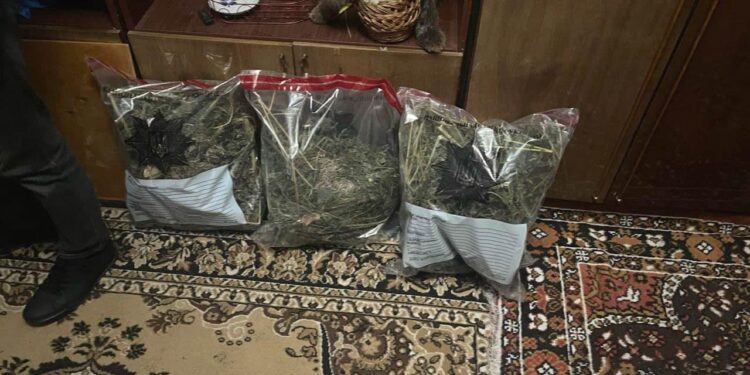 На Рівненщині у чоловіка вдома виявили канабіс та коноплю