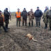 На Житомирщині почали відстрілювати диких лисиць: де саме та чому | Журнал Житомира