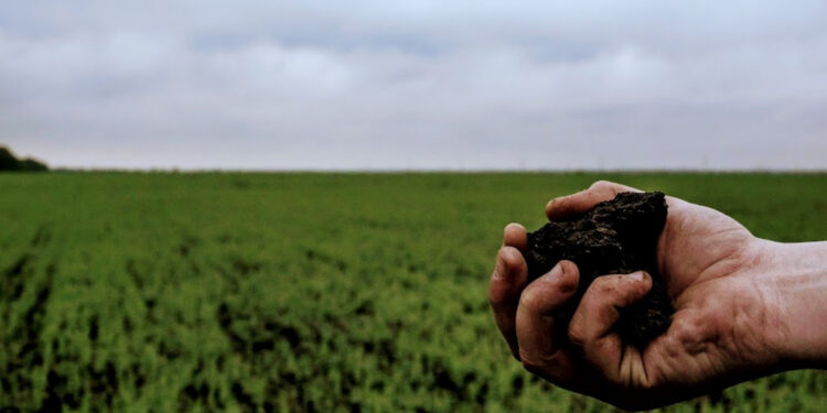 На Житомирщині земельні ділянки громадянина рф конфіскують –рішення суду | Журнал Житомира