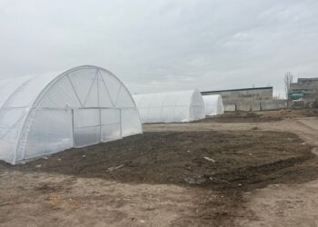 «ПАЕК» завершує реалізацію проєкту будівництва тепличного комплексу в Миколаївської області » Миколаївський Оглядач