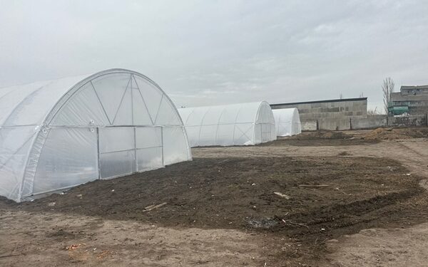 «ПАЕК» завершує реалізацію проєкту будівництва тепличного комплексу в Миколаївської області » Миколаївський Оглядач