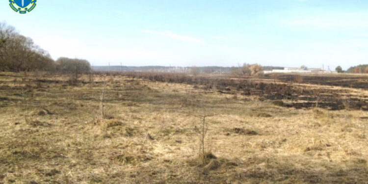 Піщаний карʼєр замість історичної памʼятки: план бізнесменів на Житомирщині не спрацював | Журнал Житомира