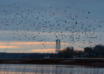 Погода в Запоріжжі 24, 25 лютого – що прогнозують синоптики | Новости Запорожья