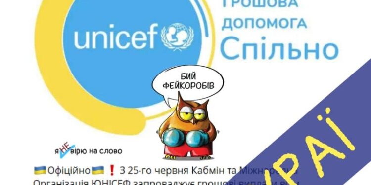 Шахраї представляються Unicef: мешканка Шепетівщини втратила усі заощадження —Хмельнитчина