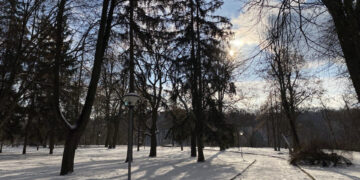 Штормовий вітер, сніг з дощем і ожеледиця: погода у Житомирі найближчі дні | Журнал Житомира