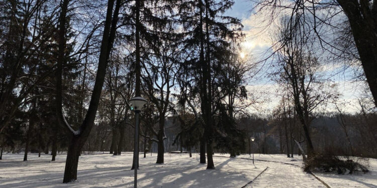 Штормовий вітер, сніг з дощем і ожеледиця: погода у Житомирі найближчі дні | Журнал Житомира