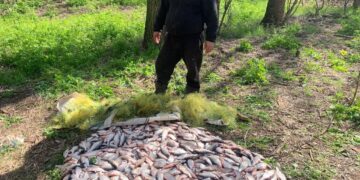 Судитимуть браконьєра, який наловив риби на майже 2 млн грн