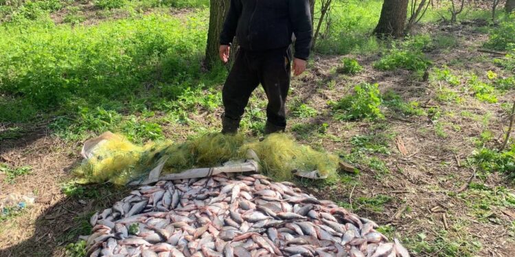 Судитимуть браконьєра, який наловив риби на майже 2 млн грн