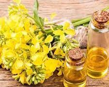 Торік Черкащина продавала насамперед продукти рослинного і тваринного походження, а також жири та олії — Новини Черкащіни