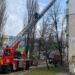 У Черкасах з квартири, де трапилась пожежа, врятували собаку — Новини Черкащіни