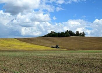 У кількох росіян відібрали у державну власність землі на Черкащині
