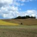 У кількох росіян відібрали у державну власність землі на Черкащині