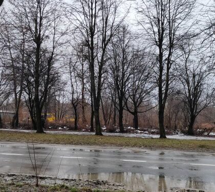 У Львові готують до продажу під забудову ділянку над колектором Полтви