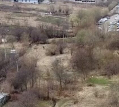 У Львові захопили 44 земельні ділянки, розташовані на майбутній вулиці Вернадського