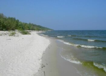 У власність держави повернуто землі природно-заповідного фонду у Черкаському районі