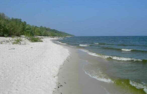 У власність держави повернуто землі природно-заповідного фонду у Черкаському районі