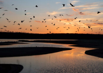 У Запоріжжі синоптики вдруге з початку лютого зафіксували температурний рекорд – деталі | Новости Запорожья