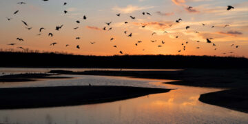 У Запоріжжі синоптики вдруге з початку лютого зафіксували температурний рекорд – деталі | Новости Запорожья