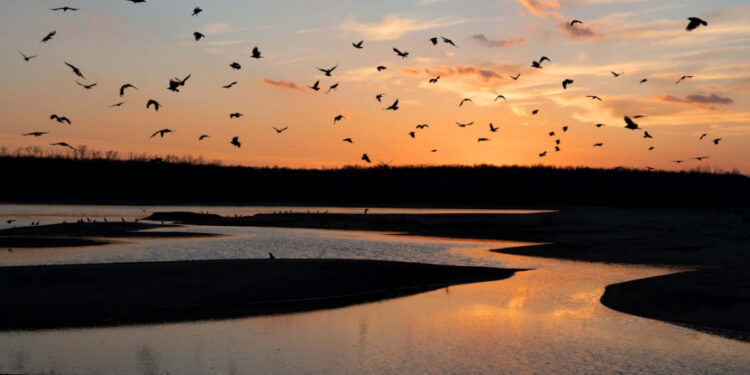 У Запоріжжі синоптики вдруге з початку лютого зафіксували температурний рекорд – деталі | Новости Запорожья