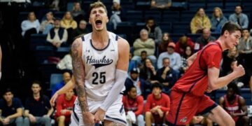 Українці за кордоном: у Константиновського 22 очок та 20 підбирань, у Дзюби 13 підбирань – Федерація баскетболу України