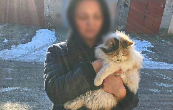 В Умані із гаража визволяли кішку