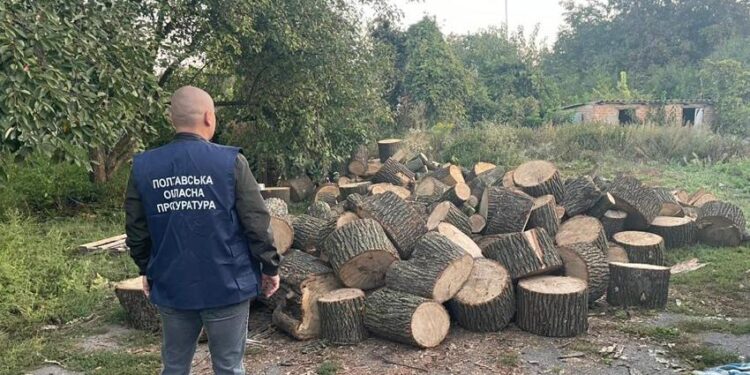 Вирубка лісу на Полтавщині: до судів направили 54 акти