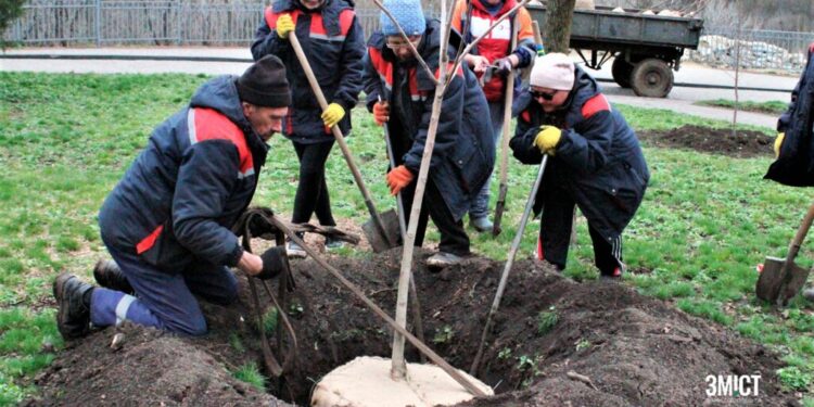 Висадка дерев у Полтаві: план на весну 2024 року – ПОЛТАВА СЬОГОДНІ