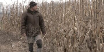 Що сіяти аграріям на Черкащині, аби мати прибуток – ЭКОНОМИКА