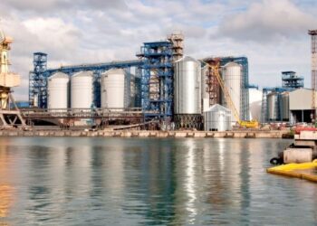 Sunolta судиться з Мін’юстом через зерновий термінал в одеському порту – ЭКОНОМИКА