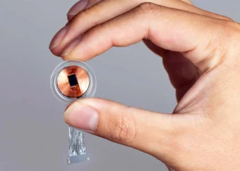 Хакери зможуть нашкодити життю людини з мозковим чипом Neuralink — ТЕХНОЛОГИИ