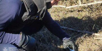 На Київщині сапери вилучили газову гранату | Новини Київ