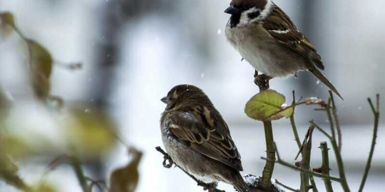 У Київській області прогнозують серйозну зміну погоди: синоптики | Новини Київ