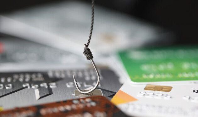 Запоріжців ошукують злочинці: за минулий рік на 40 млн грн | Новини Запоріжжя