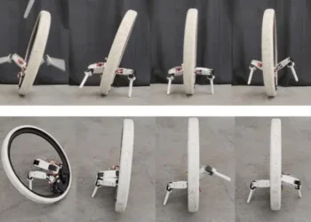 Вчені створили моноколісного робота Ringbot — ТЕХНОЛОГИИ