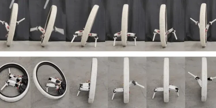 Вчені створили моноколісного робота Ringbot — ТЕХНОЛОГИИ