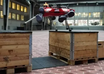 Чотирилапий робот ANYmal долає перешкоди з котячою грацією — ТЕХНОЛОГИИ