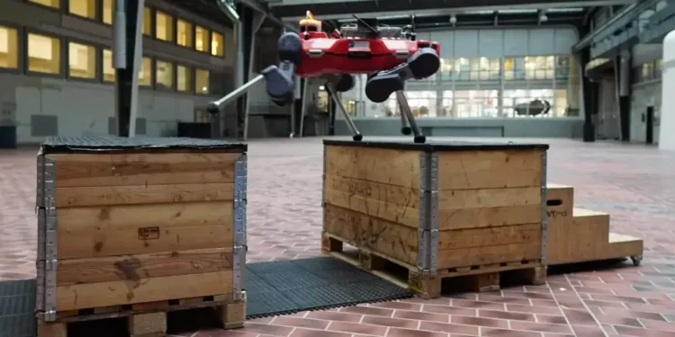 Чотирилапий робот ANYmal долає перешкоди з котячою грацією — ТЕХНОЛОГИИ